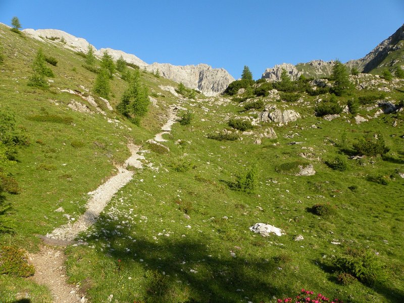 Ridge Beacon