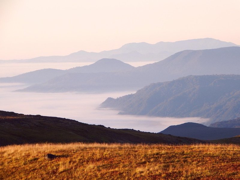 Ridge Beacon